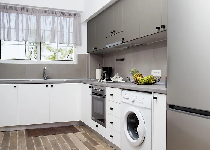 Apartament Elenis Philoxenia *